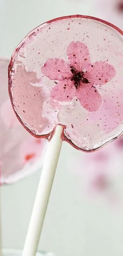 Cherry blossom lollipop wallpaper, perfect for a serene mobile backdrop.