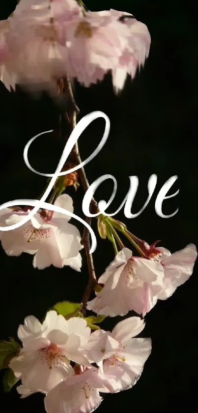 Cherry blossom branch with 'Love' text in pink and white hues.