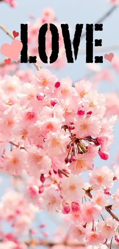 Cherry blossom wallpaper with 'Love' text.