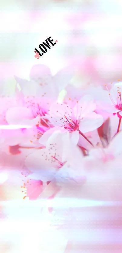 Cherry blossom wallpaper with 'Love' text in soft pink hues.