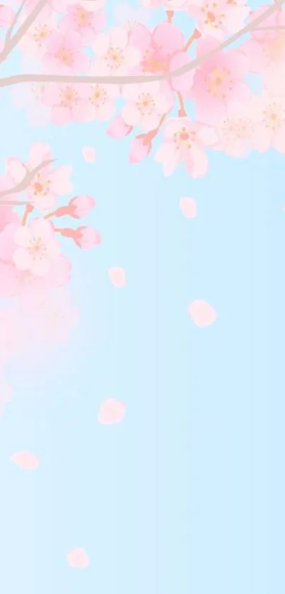 Cherry blossom wallpaper with pink flowers on a blue sky background.