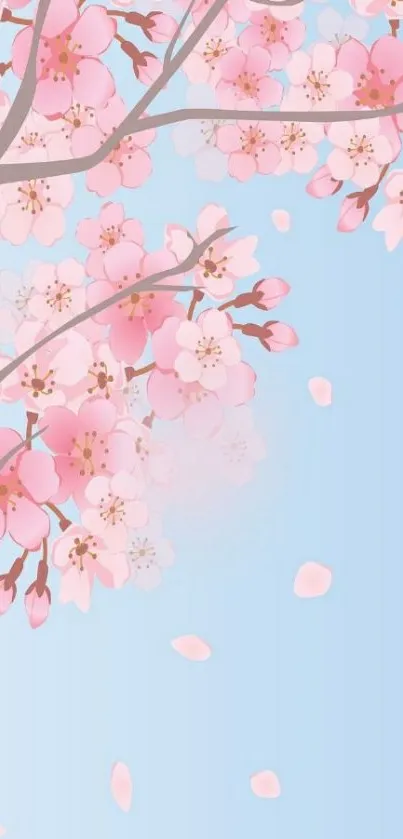 Cherry blossom phone wallpaper with pink flowers and blue sky.