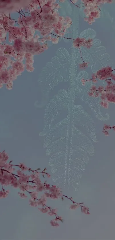 Serene cherry blossom wallpaper with pink flowers against a blue sky.