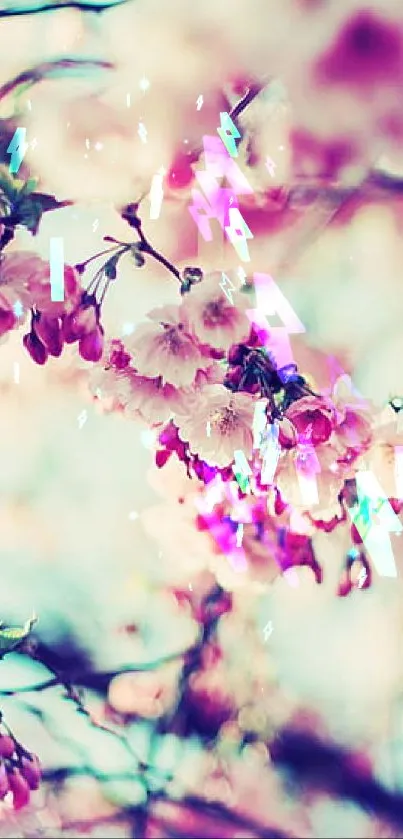 Mobile wallpaper featuring delicate pink cherry blossoms against a dreamy sky.