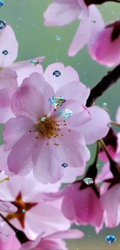 Delicate pink cherry blossoms with sparkling accents on a mobile wallpaper.