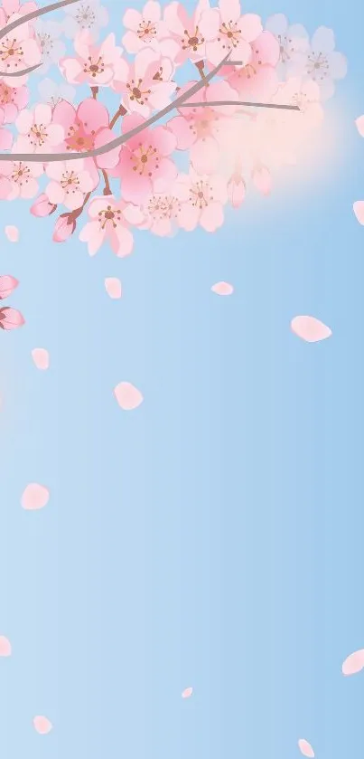 Soft blue wallpaper with pink cherry blossoms.