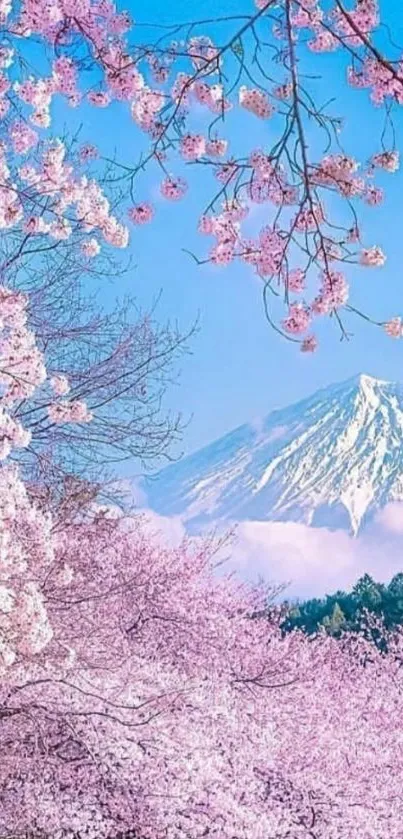 Mobile wallpaper of cherry blossoms with mountain.