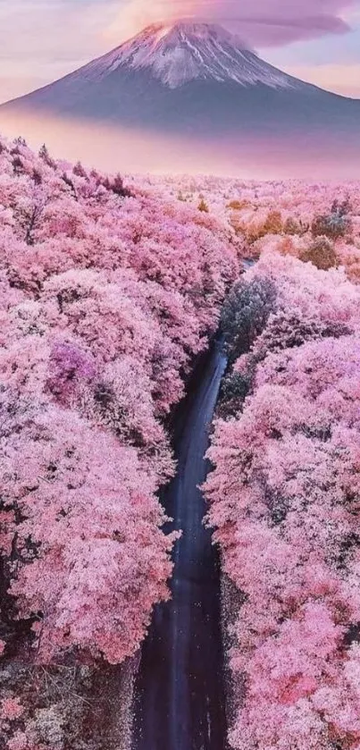 Pink cherry blossom forest with mountain in background.