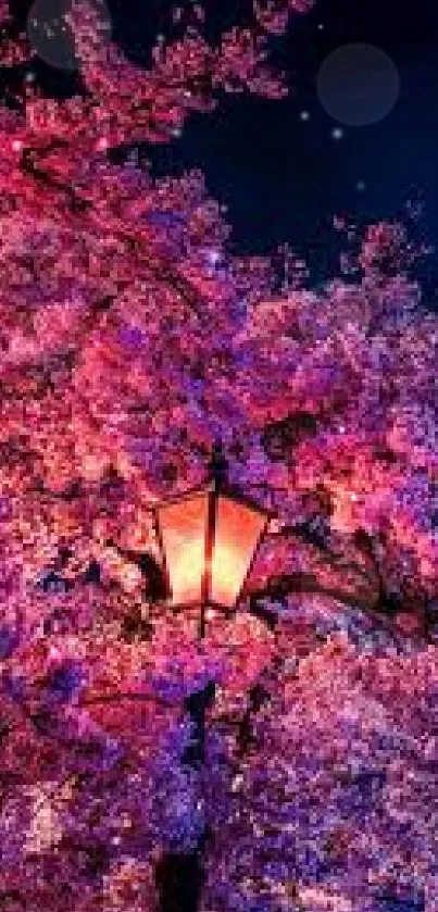 Night view of cherry blossoms illuminated by a street lamp.