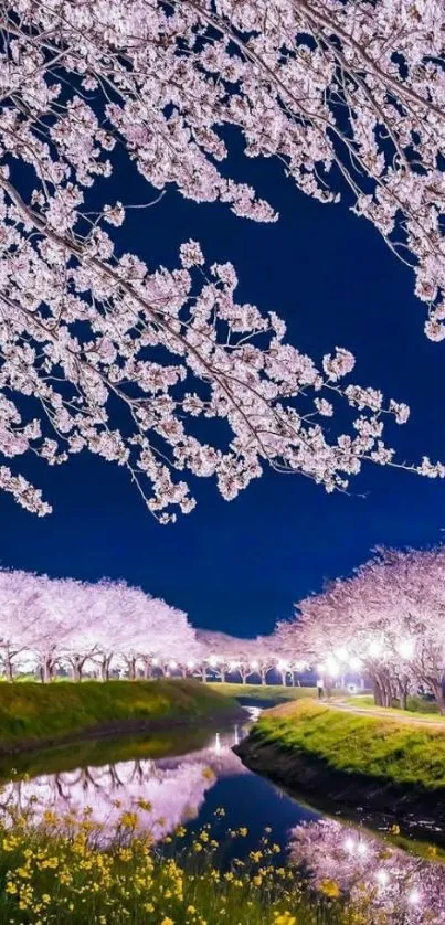 Cherry blossoms reflecting in a stream under a navy blue night sky.