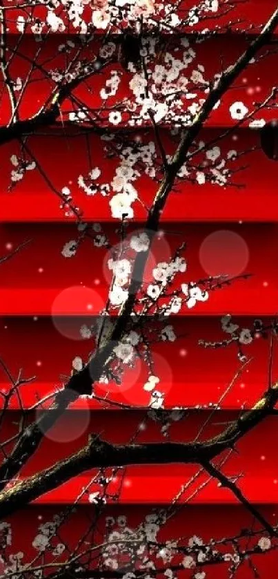 Cherry blossoms on a vibrant red background, mobile wallpaper.