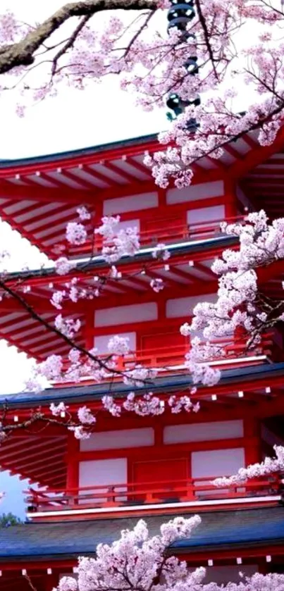 Red pagoda surrounded by cherry blossoms.