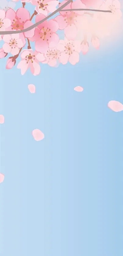 Cherry blossoms and petals on a serene pastel blue sky background.