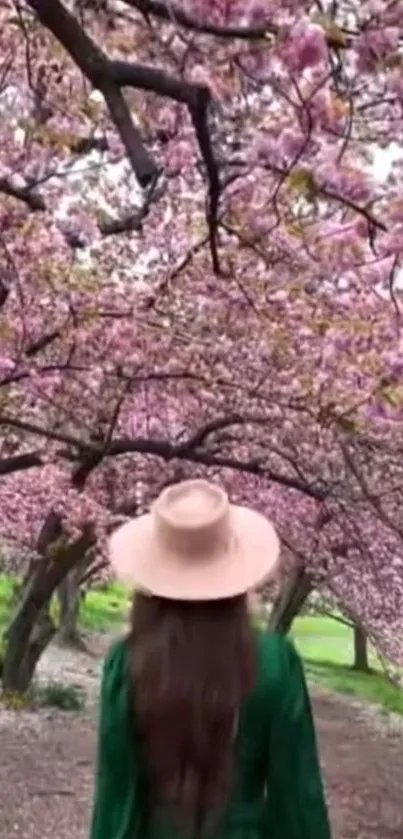 Person walking under cherry blossom canopy in green dress.