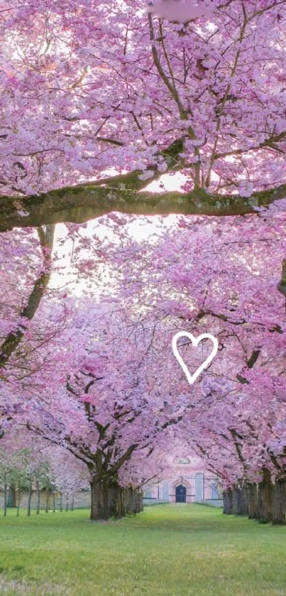 Cherry blossom pathway with pink blooms and heart shape.