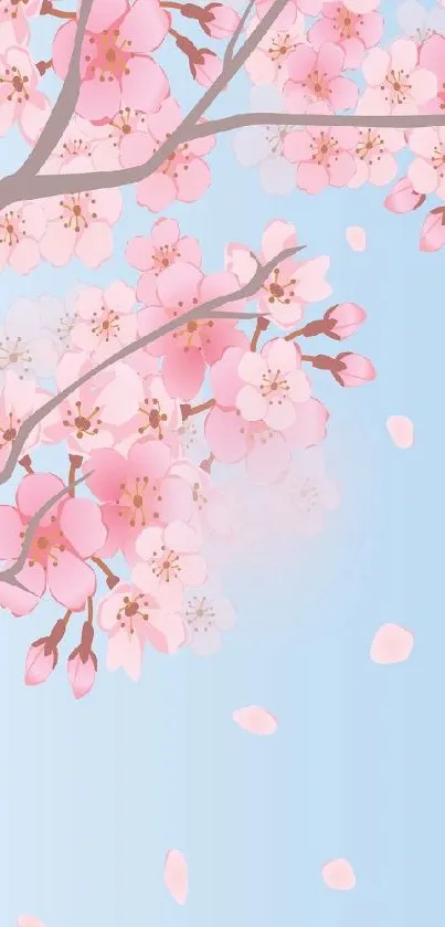 Pink cherry blossoms on a blue background, creating a serene mobile wallpaper.