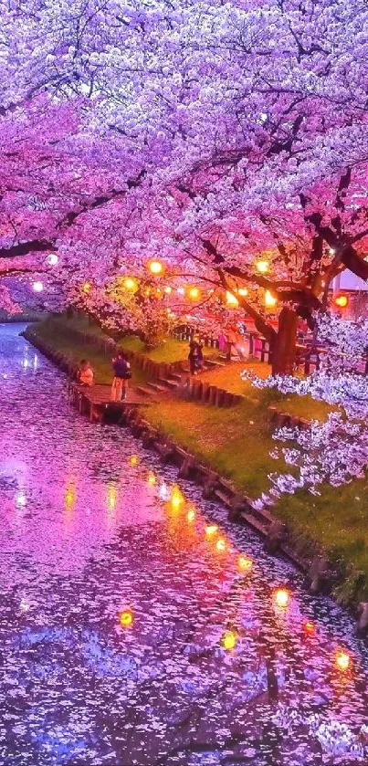 Cherry blossoms along a river with vibrant reflections.