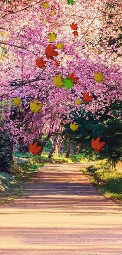 Serene cherry blossom road with vibrant pink flowers.