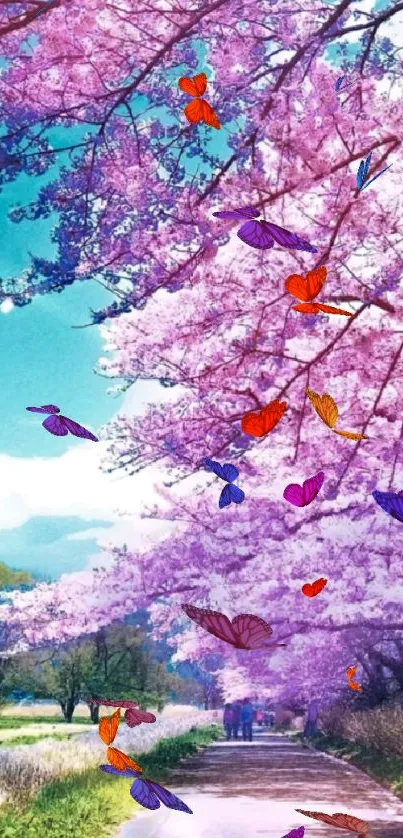 Cherry blossom trees lining a scenic path under a clear sky.