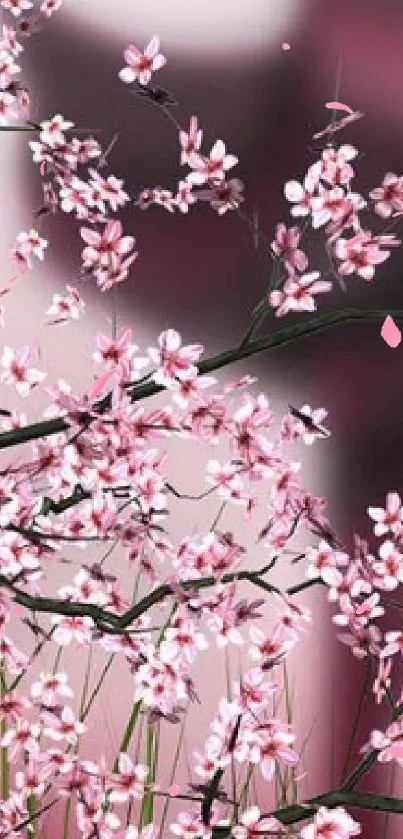 Cherry blossom branches with pink and red flowers set against a serene background.