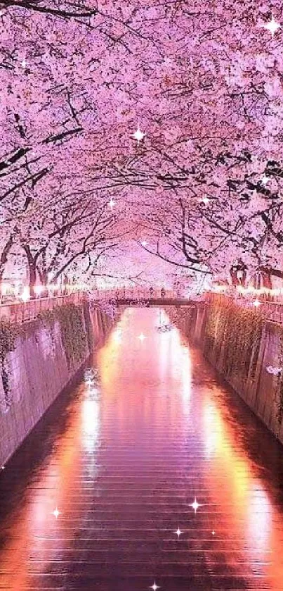 Serene cherry blossom pathway with pink reflections in tranquil waters.