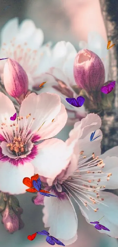 Delicate cherry blossoms against a soft pink background.