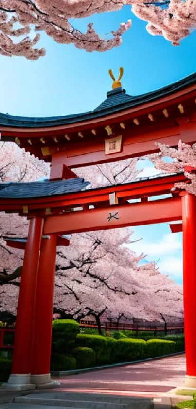 Serene cherry blossom shrine with red gate.