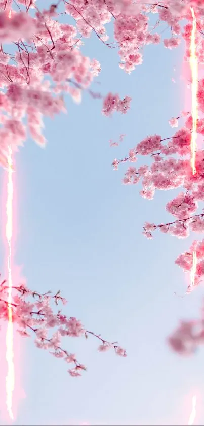 Cherry blossom branches with blue sky background, featuring pink floral accents.