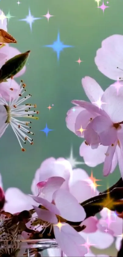 Delicate cherry blossoms with sparkling stars on a serene green background.