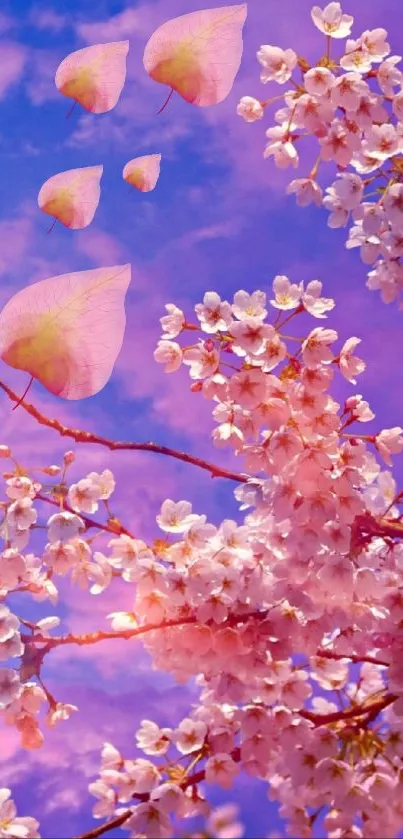 Cherry blossom branches against a vibrant pink and purple sky.