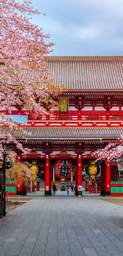 Japanese temple with cherry blossoms in bloom.