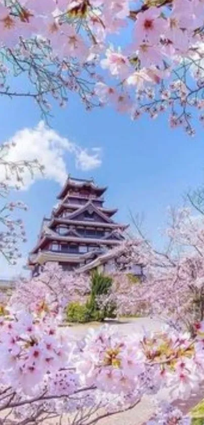 Cherry blossoms and Japanese castle under blue sky.