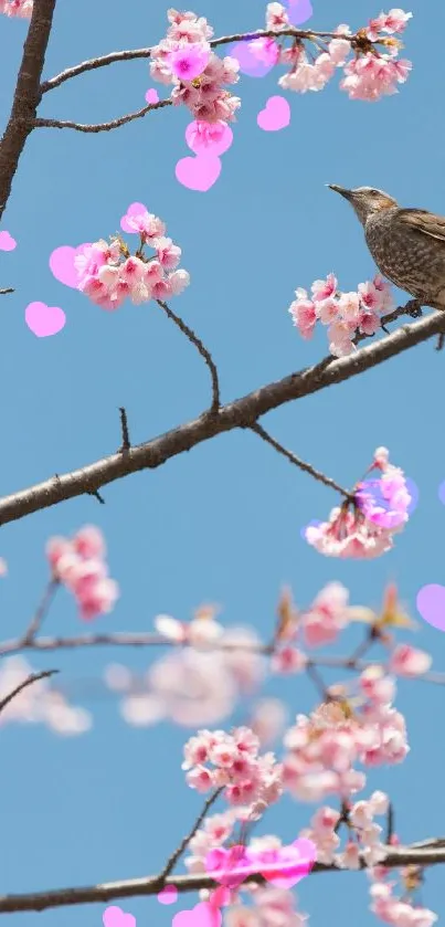 Bird on cherry blossom branch with pink hearts in spring sky.