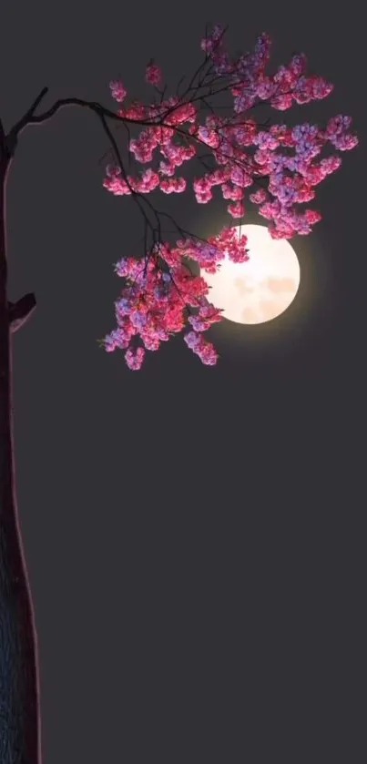 Cherry tree in bloom under full moonlight on a dark night.