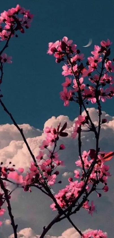 Cherry blossoms against a moonlit dark blue sky, perfect for mobile wallpaper.