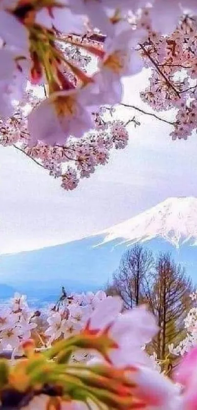 Cherry blossoms frame Mount Fuji in a serene landscape view.