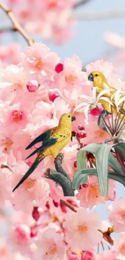 Colorful parrots on cherry blossoms with a floral backdrop.