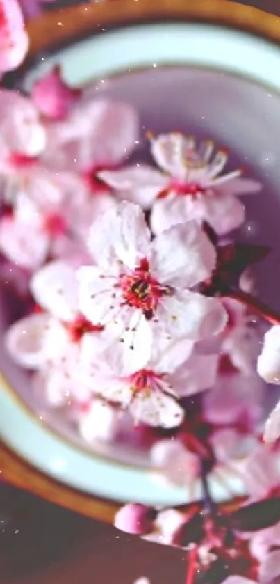 Cherry blossom wallpaper with pink flowers and soft background.