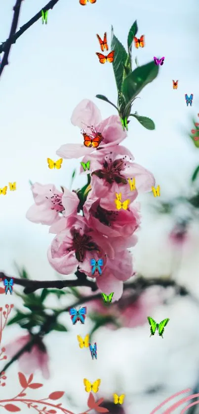 Cherry blossoms with butterflies on a light blue background.