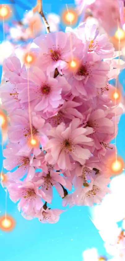 Pink cherry blossoms with glowing star effects against a blue sky.