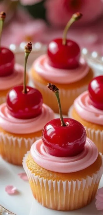 Cherry-topped cupcakes with pink frosting on a plate.