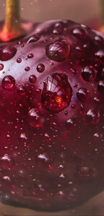 Close-up of a fresh cherry with water droplets on its surface, in red hues.