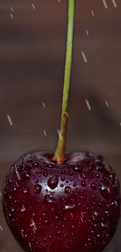 Dark red cherry with raindrops on a brown background.