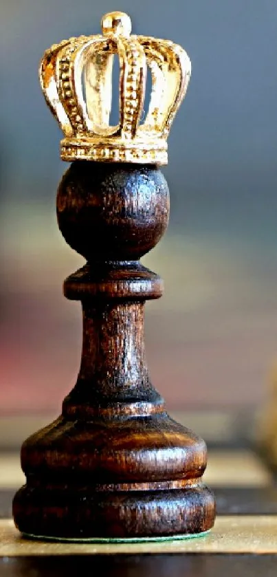 Crowned chess king piece on a chessboard with surrounding pawns.