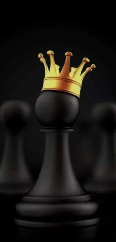 Black chess pawn wearing a gold crown on a dark background.