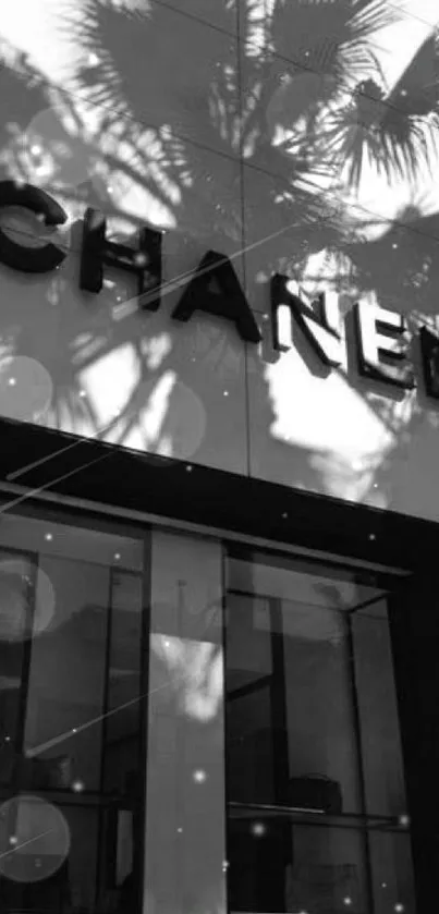 Black and white storefront with palm shadows.