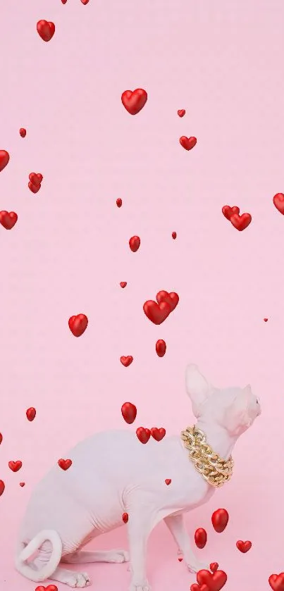 Hairless cat with gold chain among red hearts on pink background.