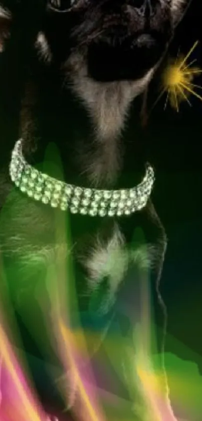 Chic dog with a sparkling collar and neon glow on a stylish mobile wallpaper.