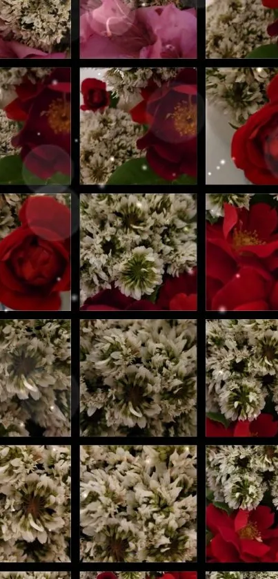 Vibrant red roses and white flowers wallpaper.