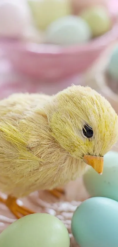 Cute yellow chick with pastel eggs in soft focus setting.